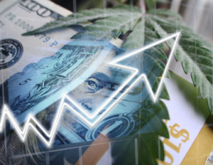 Cannabis leave with money and growth trend line